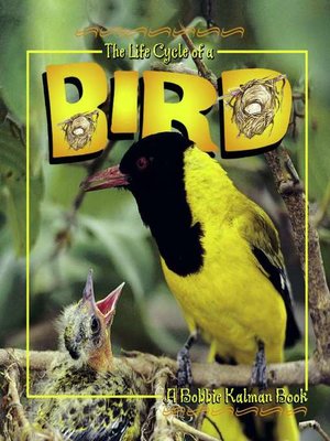 cover image of The Life Cycle of a Bird